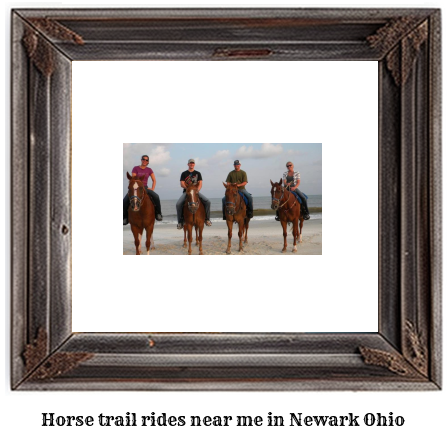 horse trail rides near me in Newark, Ohio